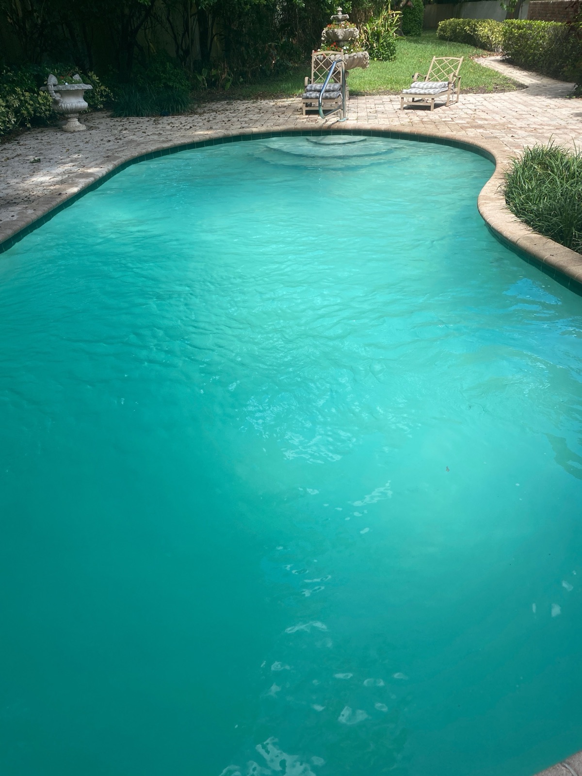 Crystal clear pool after 24-hour green-to-clean service
