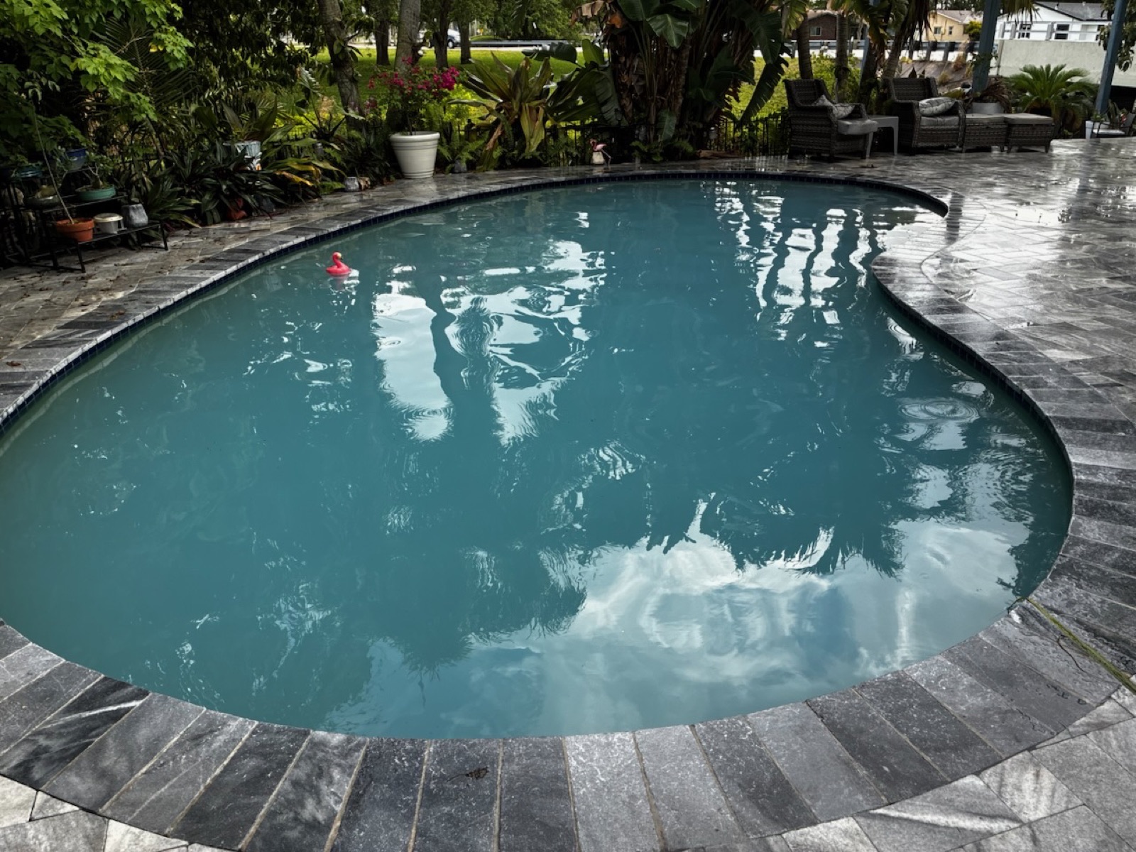 Crystal clear pool after 24-hour green-to-clean recovery