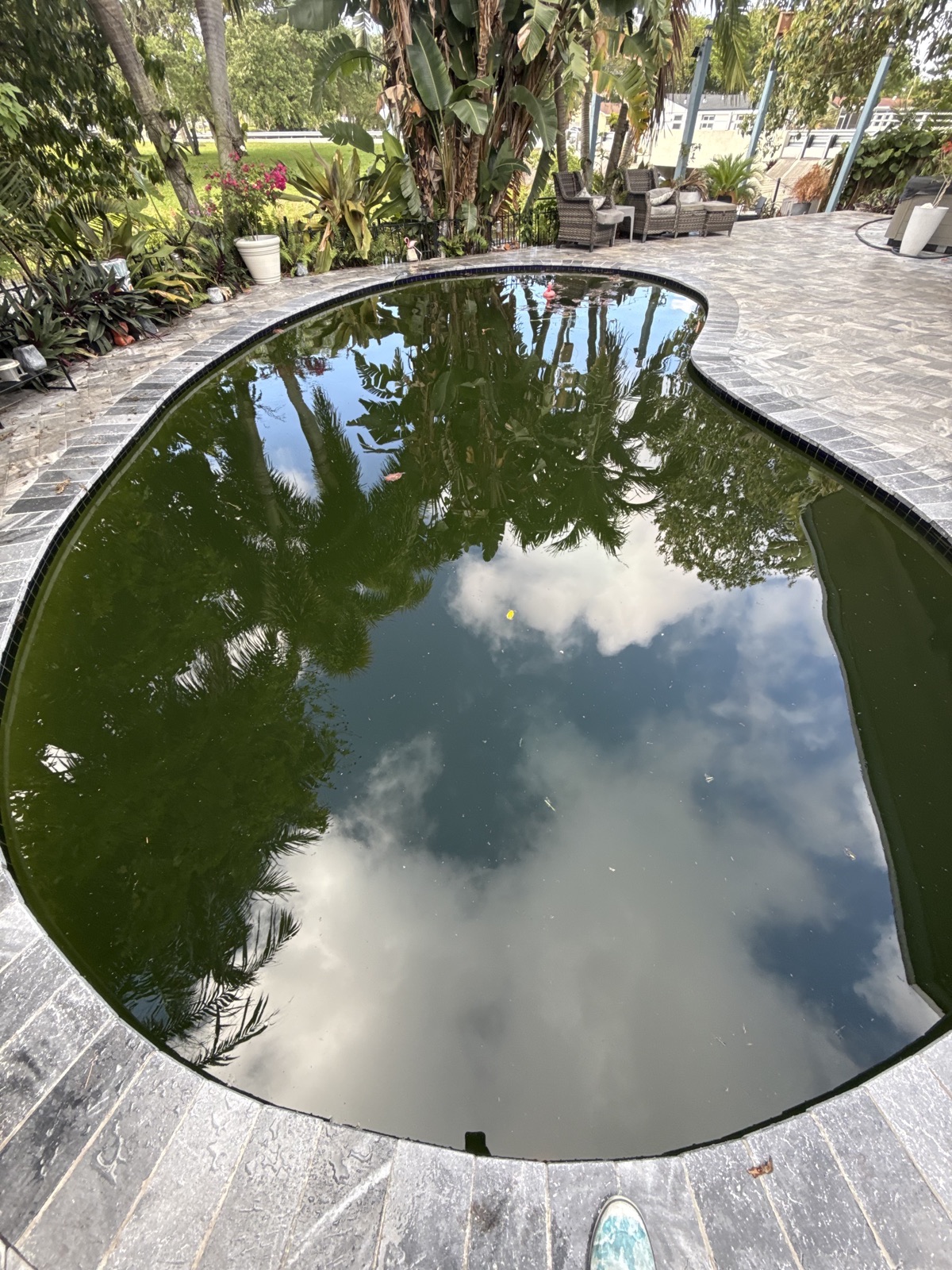 Dark green pool after storm — before Florida's Best Pools treatment