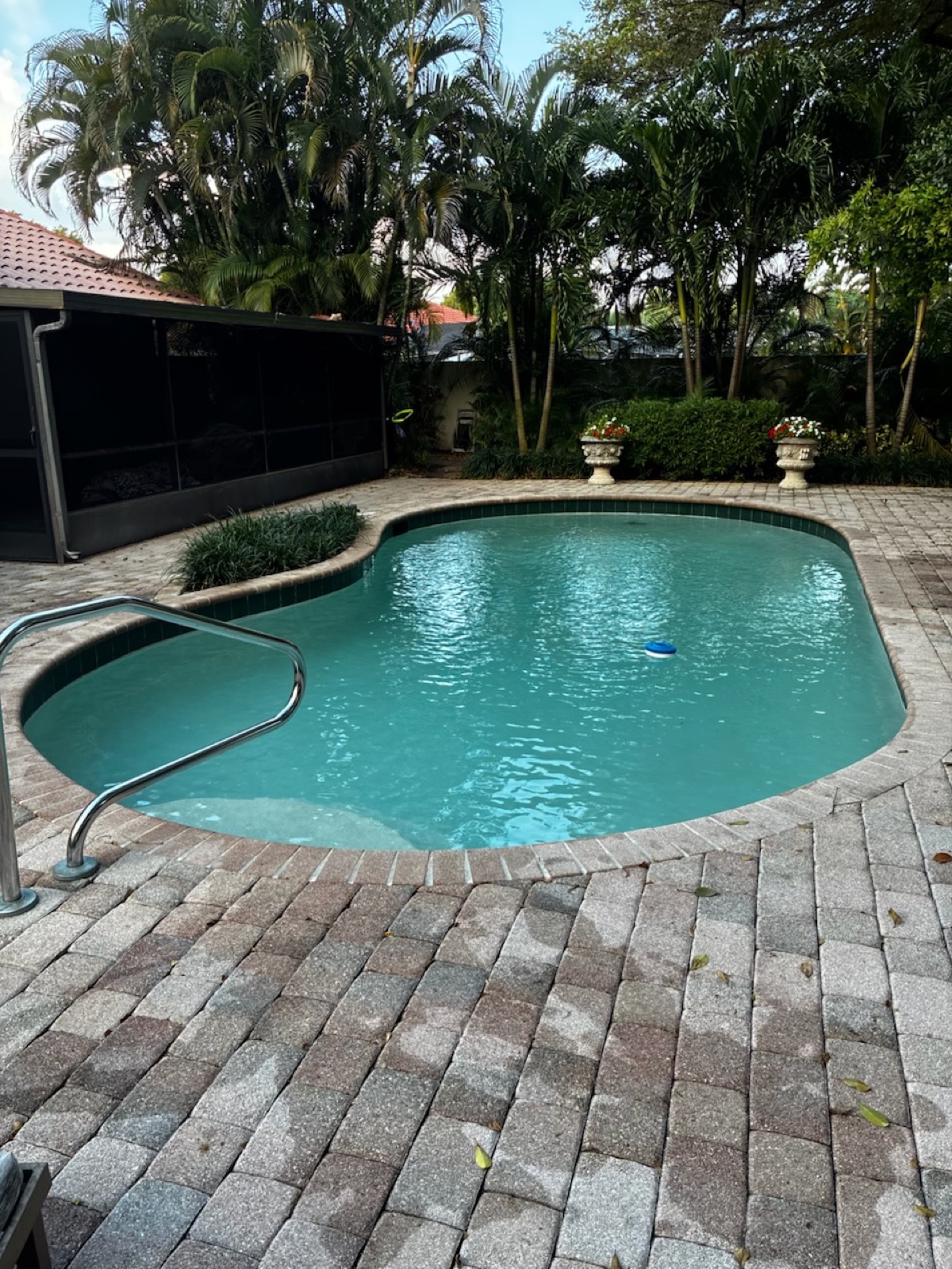 Freshly replastered Boca Raton pool with Diamond Brite finish