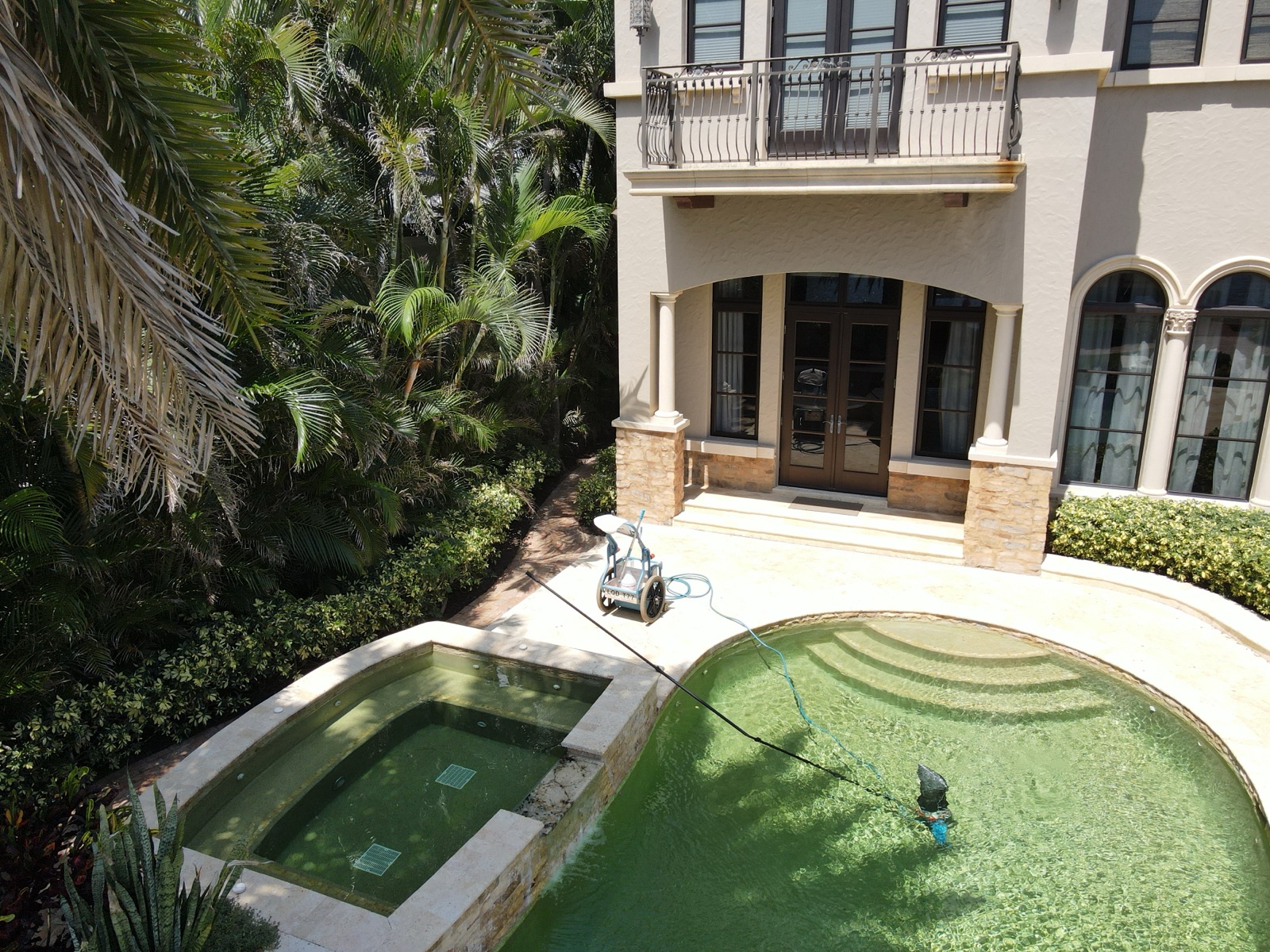 Pool with algae contamination before Florida's Best Pools treatment