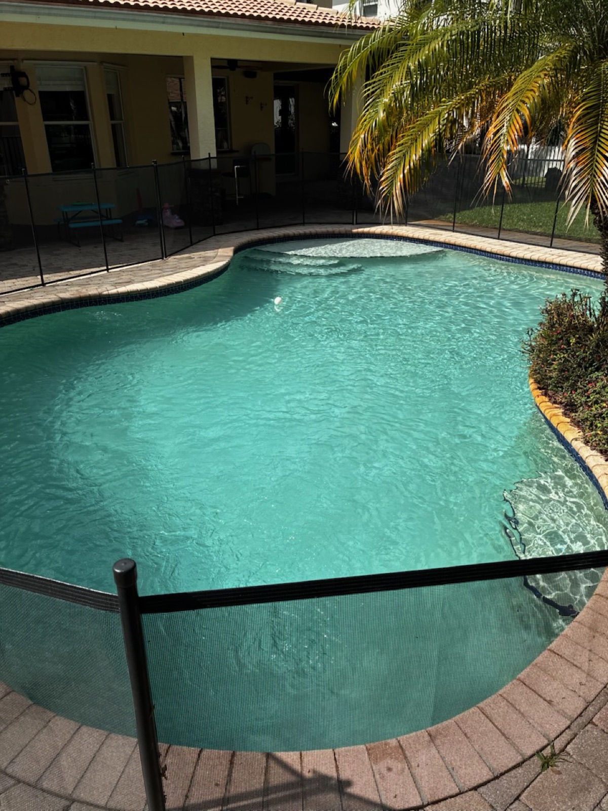 Cloudy pool water in Boca Raton before Florida's Best Pools 24-hour recovery treatment